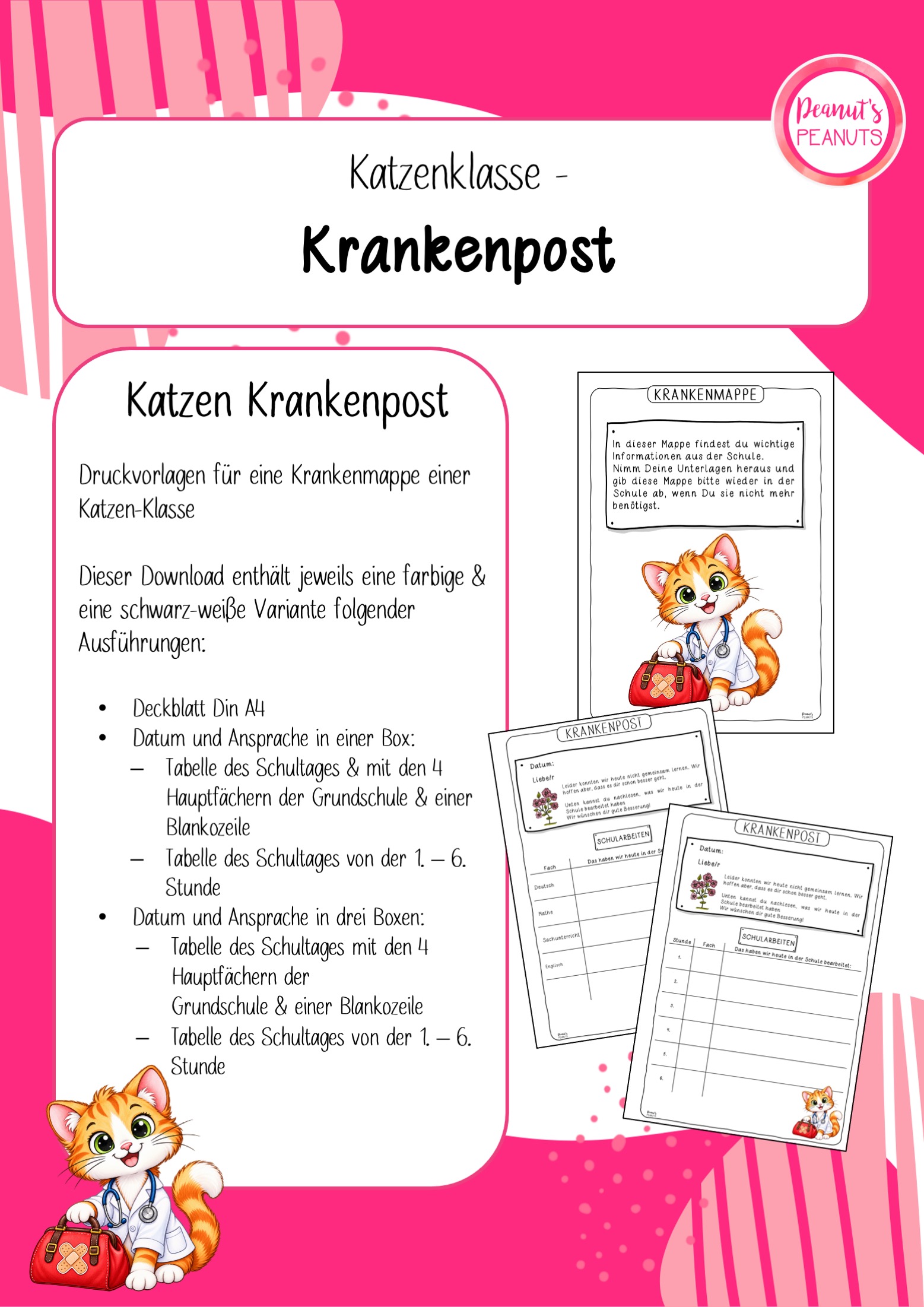 Krankenmappe für eine Katzenklasse